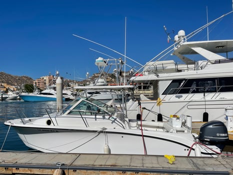 Boat photo for Cabo Trophy Hunt - 28’ Cuddy Cabin