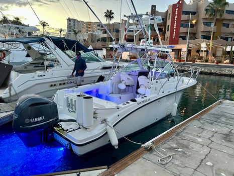 Boat photo for Cabo Trophy Hunt - 28’ Cuddy Cabin