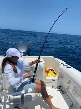 Boat photo for Cabo Trophy Hunt - 28’ Cuddy Cabin