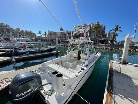 Boat photo for Cabo Trophy Hunt - 28’ Cuddy Cabin