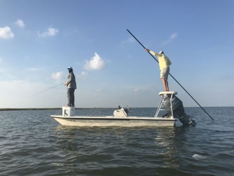 Boat photo for Shallow Water Safari