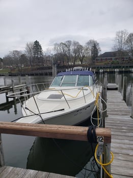 Boat photo for Michigan Sportfishing Special