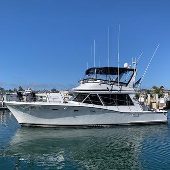 Boat photo for San Diego Pelagic Sportfishing