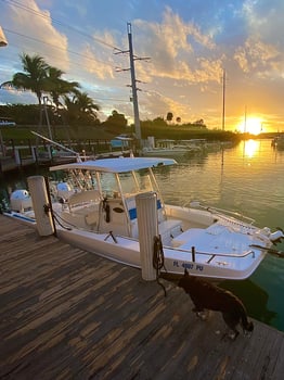 Boat photo for Reef, Wreck, and Patch Reef Trip