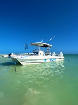 Boat photo for Reef, Wreck, and Patch Reef Trip