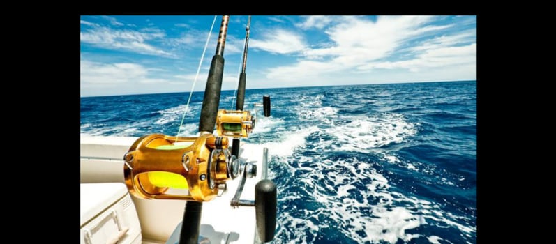 Boat photo for 40’ Yacht Sport Fish Shark Hunt