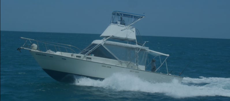 Boat photo for 40’ Yacht Sport Fish Shark Hunt