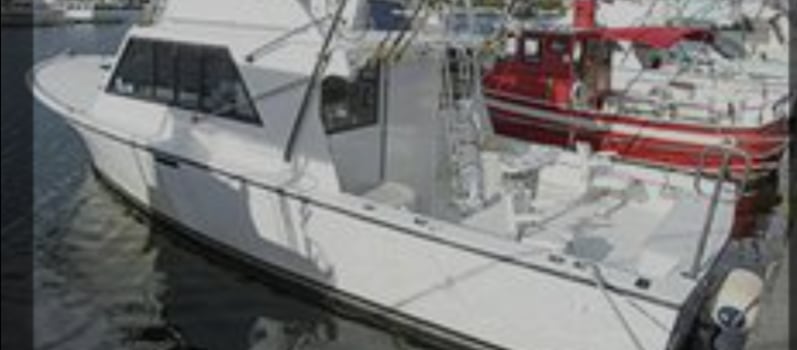 Boat photo for 40’ Yacht Sport Fish Shark Hunt