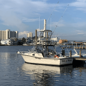 Boat photo for Orange Beach Nearshore Trolling