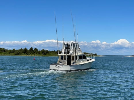 Boat photo for Shark fishing Montauk