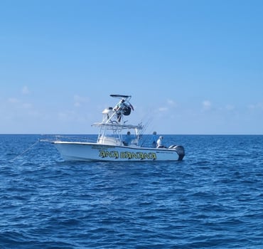 Boat photo for Marathon Offshore - 30’ Grady White