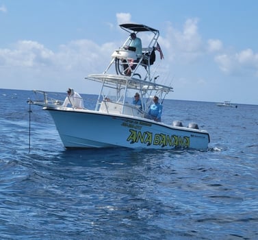 Boat photo for Marathon Offshore - 30’ Grady White