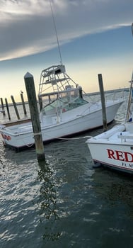 Boat photo for 4 Hour Trolling Trip