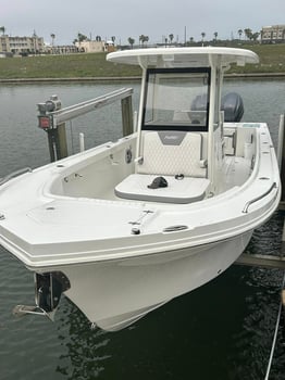 Boat photo for 6 Hour Offshore Reef & Wreck Fishing