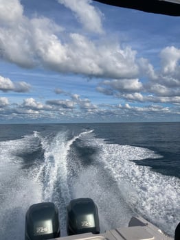 Boat photo for Wahoo Trolling - High Speed