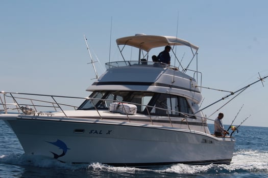 Boat photo for Day Trip - White Marlin