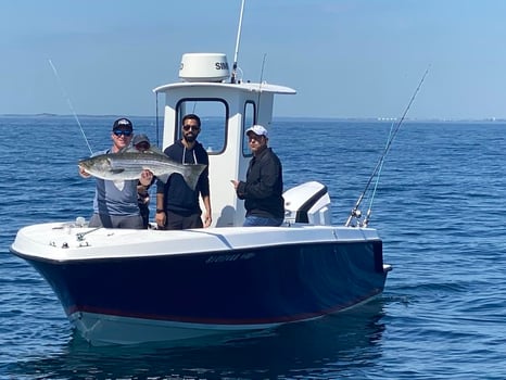 Boat photo for Trophy Striped Bass