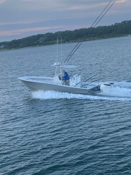 Boat photo for 3 Hour Evening Trip