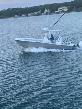 Boat photo for 3 Hour Evening Trip