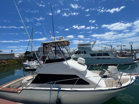 Boat photo for 11 Hour Catalina Fishing  Experience