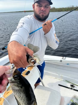 Boat photo for Black Crappie/ Pan fish Meat trips