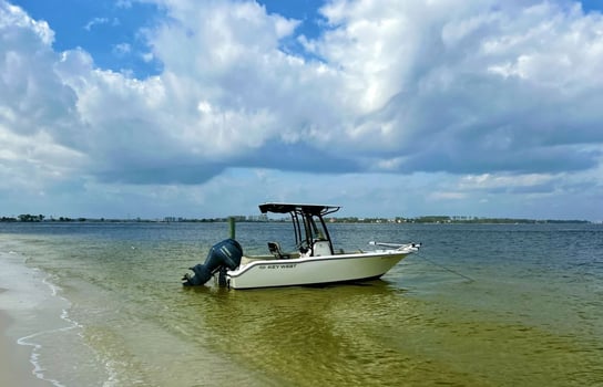 Boat photo for Amberjack