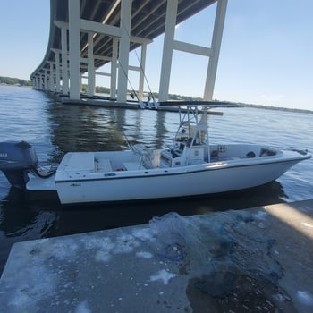 Boat photo for PASCAGOULA INSHORE AT ITS BEST