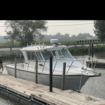 Boat photo for Lake Erie Yellow Perch Charter