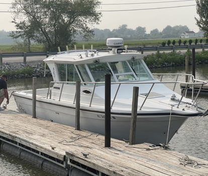 Boat photo for Afternoon trip walleye or perch