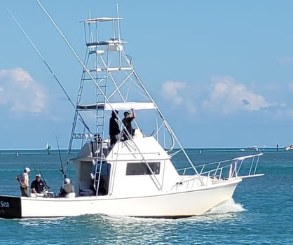 Boat photo for 3 Hour Trip – Shark