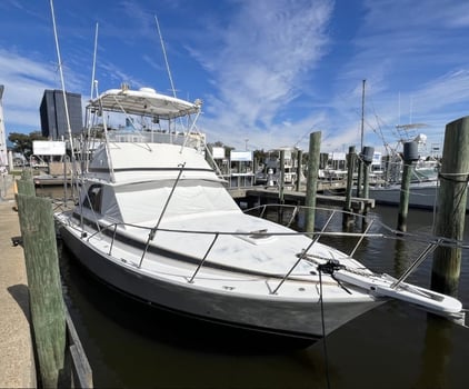 Boat photo for 4-8 Hours Trip