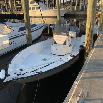 Boat photo for Biloxi Inshore Trip