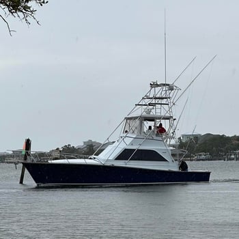 Boat photo for 6 hour offshore