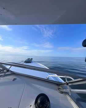 Boat photo for Hilton Head Nearshore Fishing Half Day