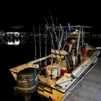 Boat photo for Lake Cumberland Striper Trip