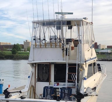 Boat photo for Lake Erie Premium Walleye Experience