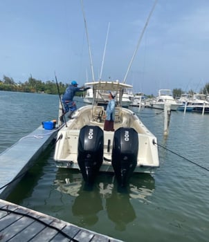 Boat photo for Offshore Fishing