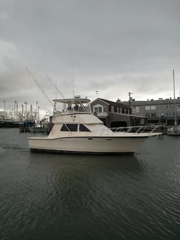 Boat photo for Cape May Inshore Trip