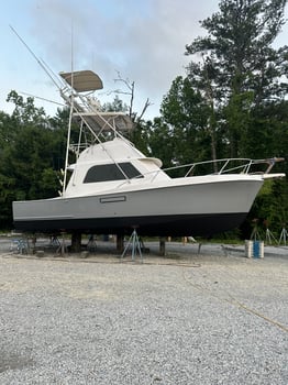 Boat photo for Destin Offshore Fishing