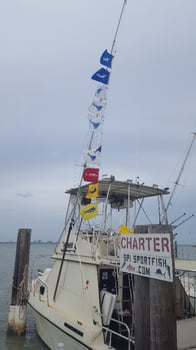 Boat photo for Marlin fishing offshore adventure