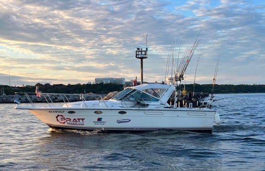 Boat photo for Lake Michigan Sport Fishing Charter