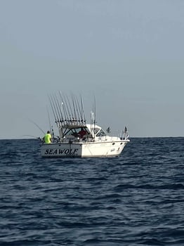 Boat photo for Lake Michigan Sport Fishing Charter