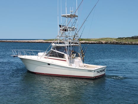 Boat photo for SHARK FISHING