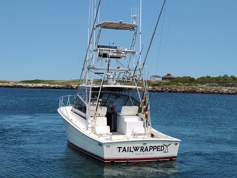 Boat photo for SHARK FISHING