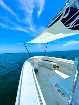 Boat photo for Luxury Trolling, Kites, and Bottom Fishing