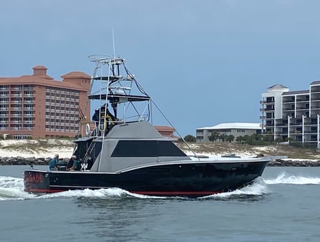 Boat photo for Orange Beach Adventures: Reel, Relax, and Repeat