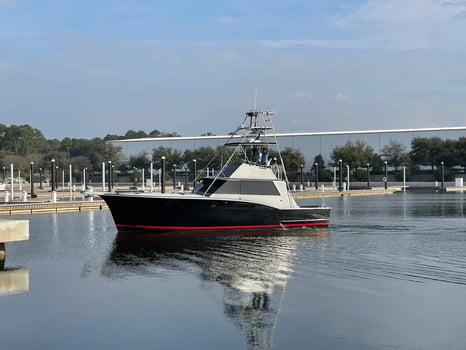 Boat photo for Orange Beach Adventures: Reel, Relax, and Repeat