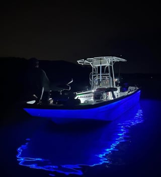 Boat photo for Lake Lanier Mixed Bag