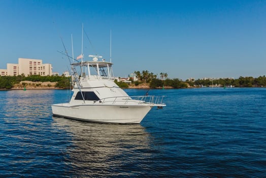 Boat photo for Punta Mita Offshore