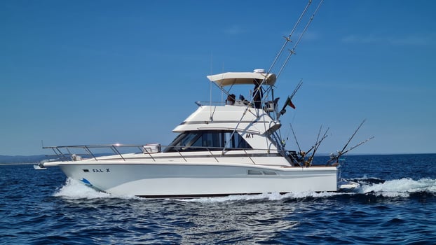 Boat photo for Half day - Reef fishing